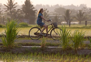 Eat, Pray, Love